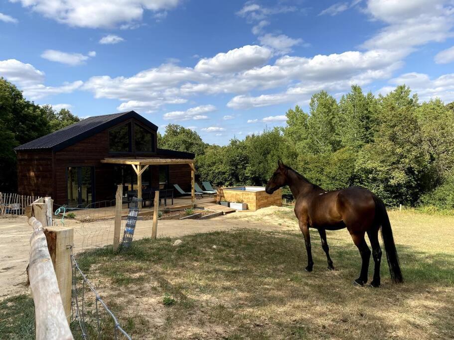 La Cabane Du Petit Moulin Bressuire Esterno foto